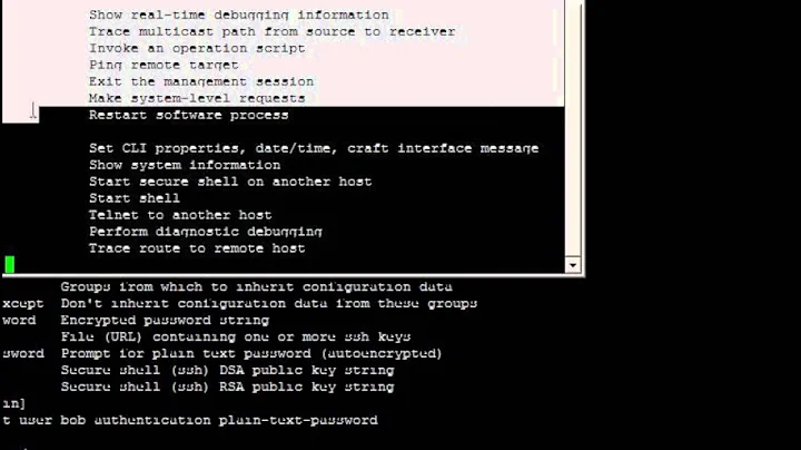 JUNOS Configuration Basics Lab 1