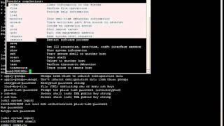 JUNOS Configuration Basics Lab 1