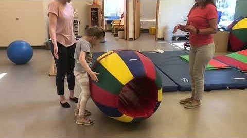 Maria Teresa Ferrer. Standing reaction balance is important to challenge children’s postural control