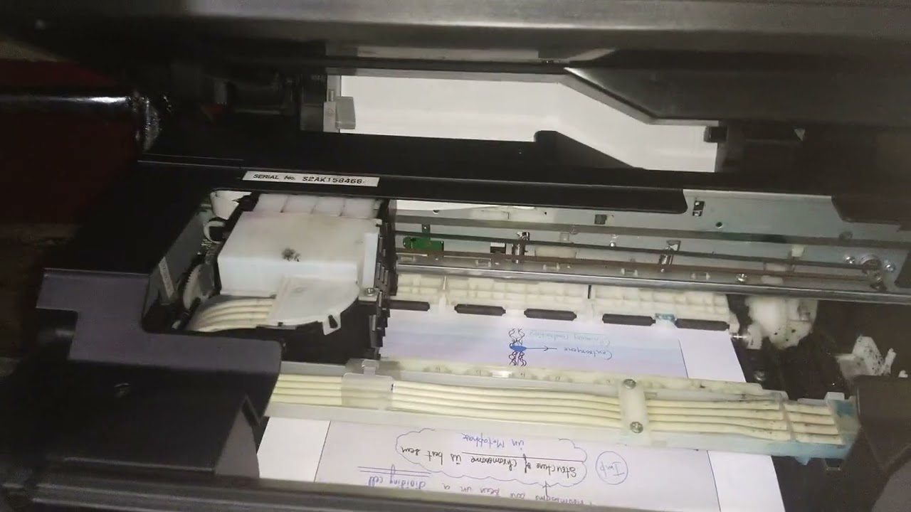 pw notes printout with Epson l210 amazing printing ❤️ please subscribe