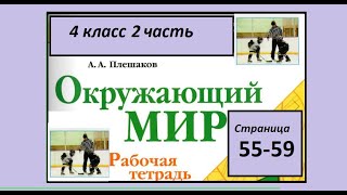 Окружающий мир 4 класс рабочая тетрадь страница 55-59. Основной закон России и права человека