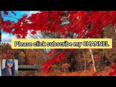 ANATA NI AITAKUTE/MISSING YOU "JAPANESE VERSION" # Seiko Matsuda