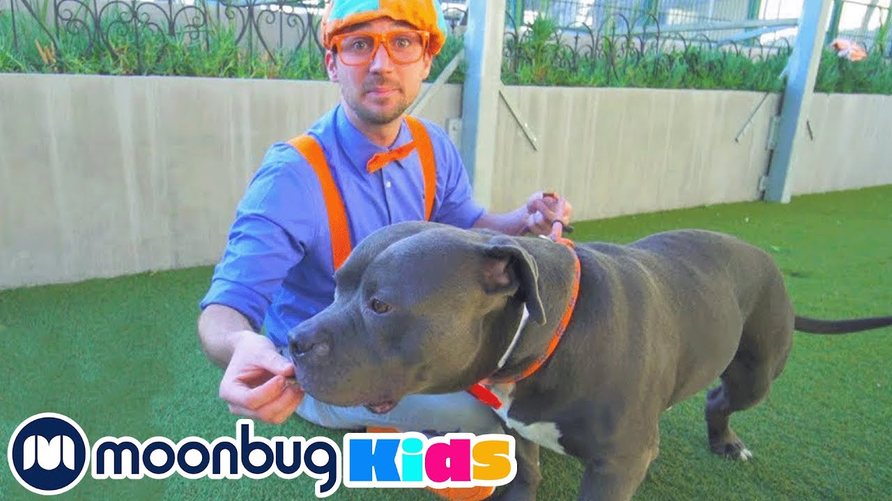 Blippi Visita um Abrigo de Animais! | Vídeos Educativos para Crianças | Moonbug Kids