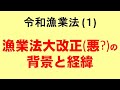 漁業法改正の背景と経緯