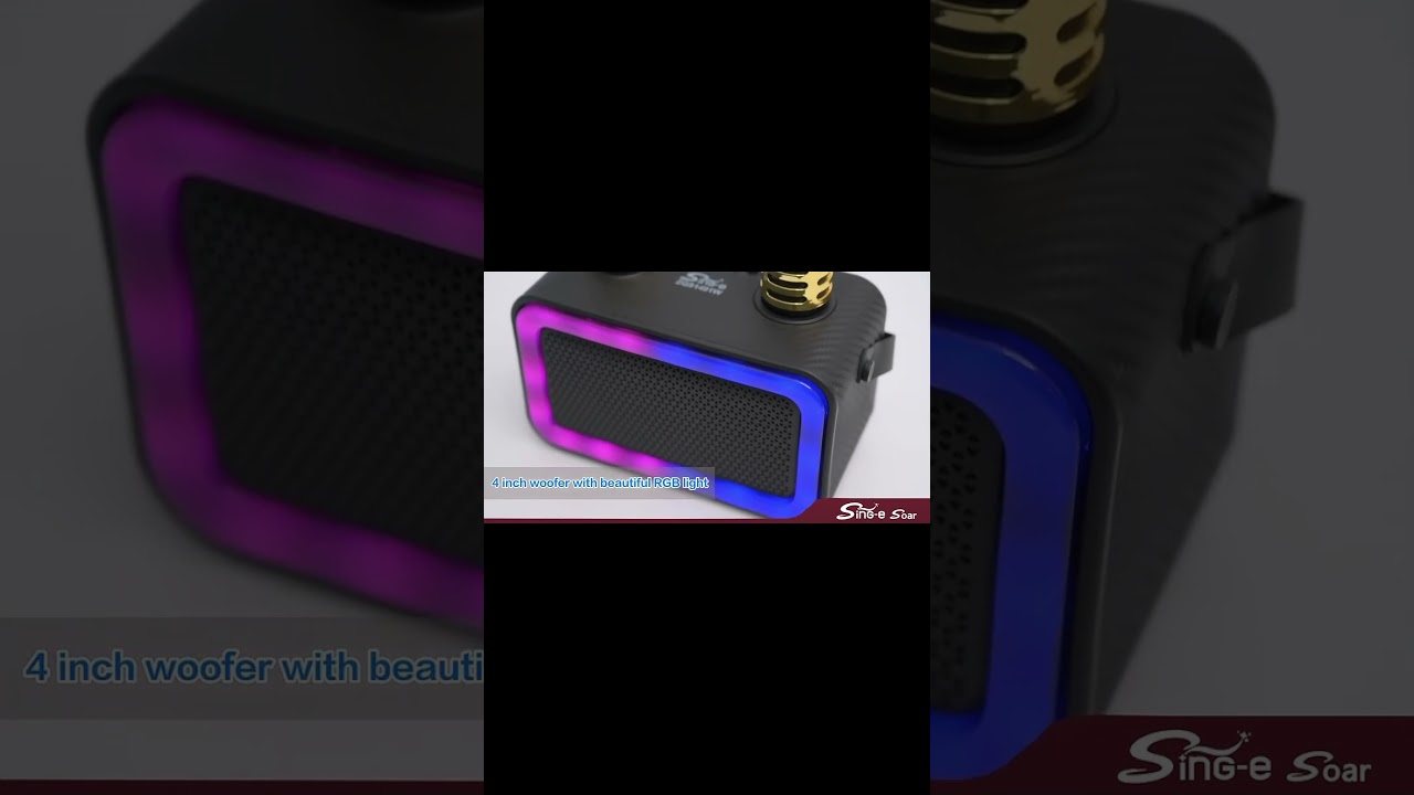 Available Sing-e Portable Wireless Speaker ZQS1491W with Dual Mic in Three Colors