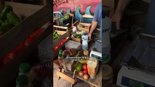 Regenerative, nomad lifestyle in Brazil 🌿