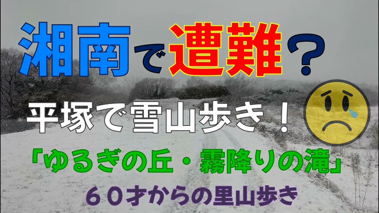 湘南で遭難？平塚で雪山歩き（ゆるぎの丘・霧降りの滝）