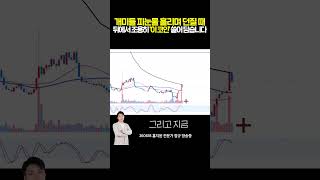 "폭락할 때 누군가는 밑에서 다 주워 담았습니다" 차트에 명백히 찍힌 큰손들의 소름 돋는 흔적 | 홍지윤 전문가