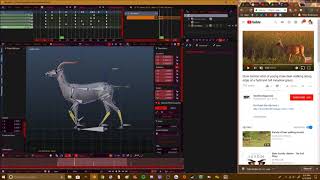 Antelope Animation