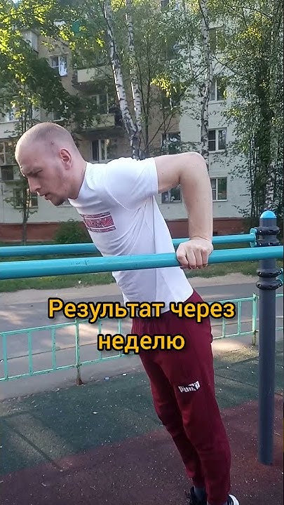 Как правильно отжиматься на брусьях? #shorts - YouTube