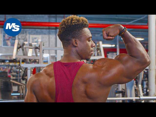  Joey swoll workout plan for Fat Body