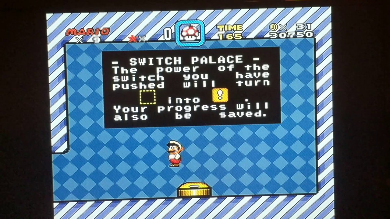 Super Mario World Switch Palaces