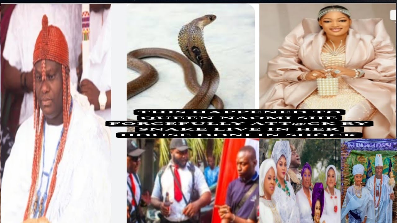THIS HAPPENED TO QUEEN NAOMI SHE FORCEFULLY ATT@CK BY SNAKE LIVE IN HER HOUSE OONI IN SHÒCK