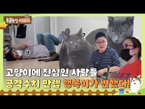 I TV동물농장 (<strong>Animal</strong> <strong>Farm</strong>) | SBS Story
