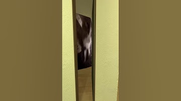 Cat64 Nexbot Gmod Chase