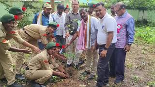 Tree Plantation With Dfo Sir.