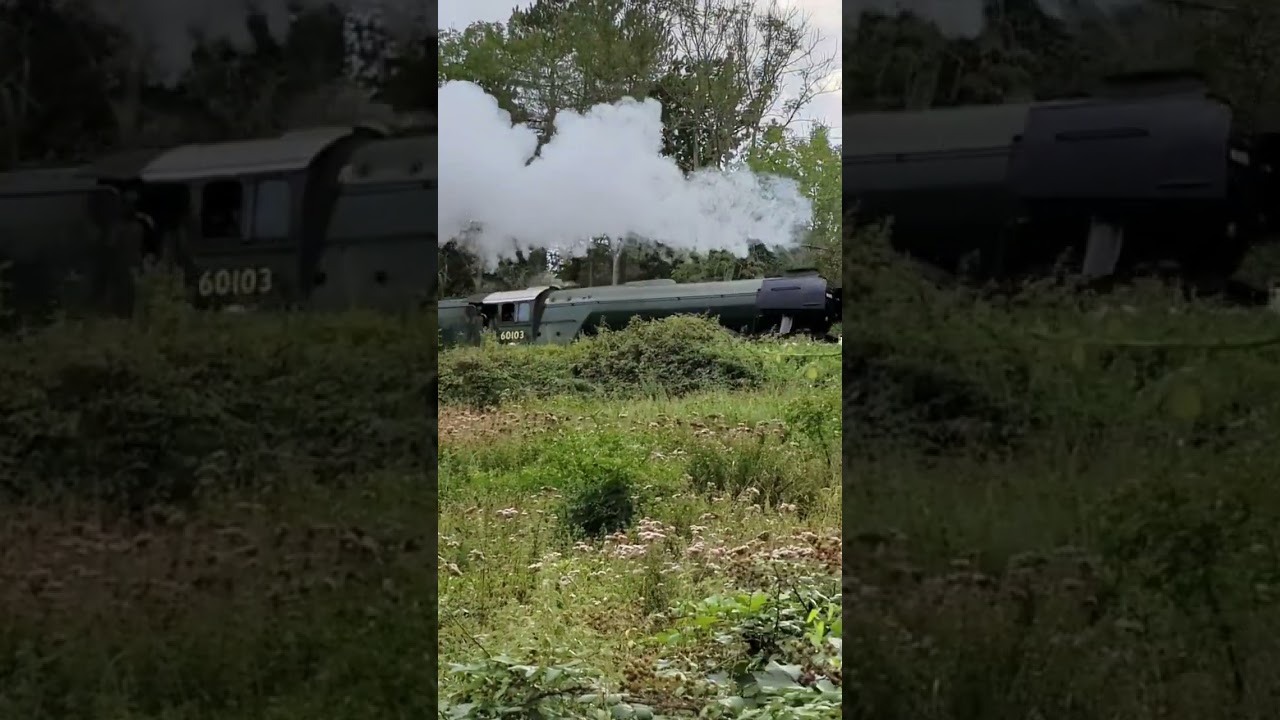 Bluebell Railway - No60103 Flying Scotsman Visit 