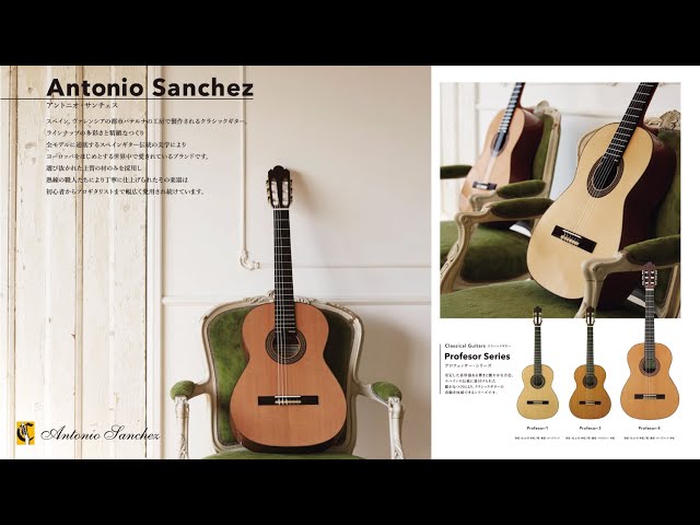 アントニオ・サンチェス Antonio Sanchez Profesor-1 杉・ローズウッド