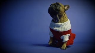 Igor Geržina - Dvorani neba (Official Video 2018)