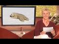Ellen Reacts to 'Planet Earth'