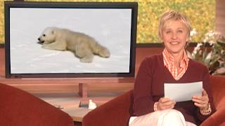 Ellen Reacts To planet Earth