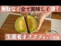 【生産者直伝】美味しいメロン切り方!甘い部分、苦い部分、部位による味の違いを知った上で、自分好みの味に仕上げる♪