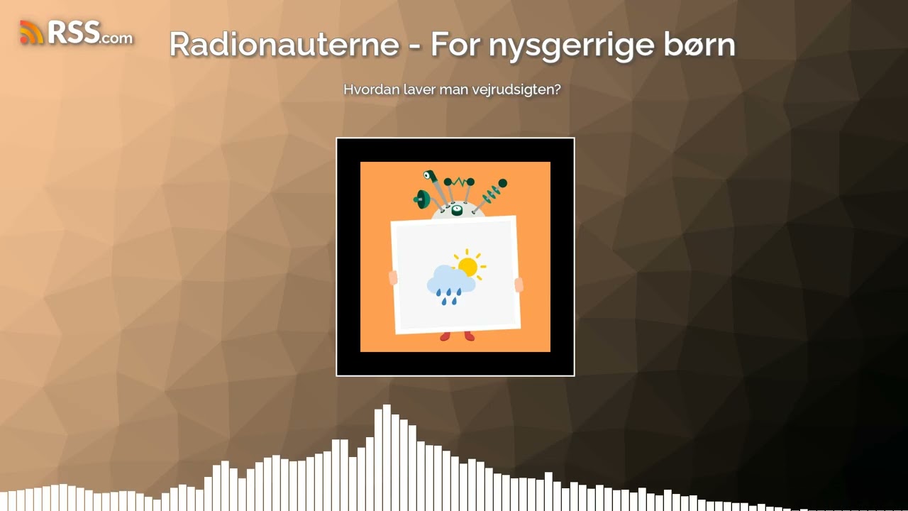 Hvordan laver man vejrudsigten?