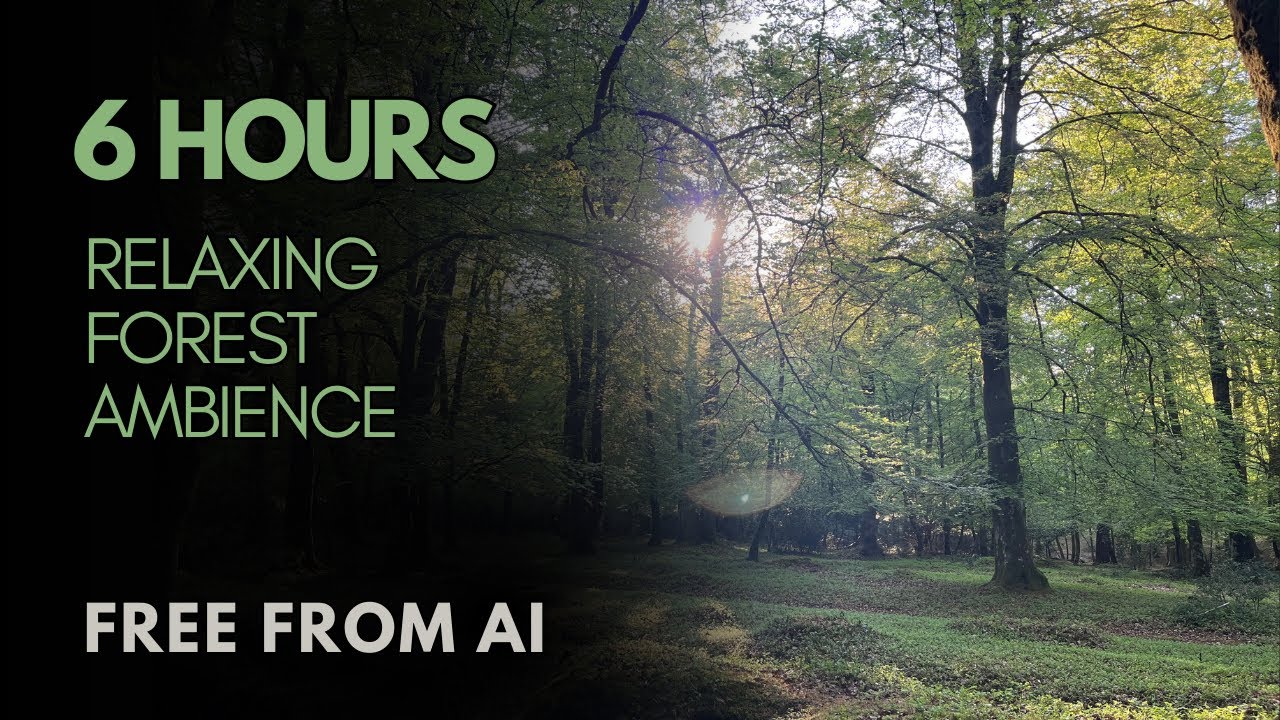 Relaxing forest background ambience for studying, sleep, and meditation