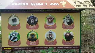 Mysore Zoo I December 2020 I Animals I India I High Definition screenshot 5
