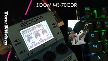 Zoom MS70CDR Carbon Delay Demo mp4