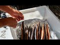 Top 10 Most Bizarre Abilities of Deep Sea Creatures