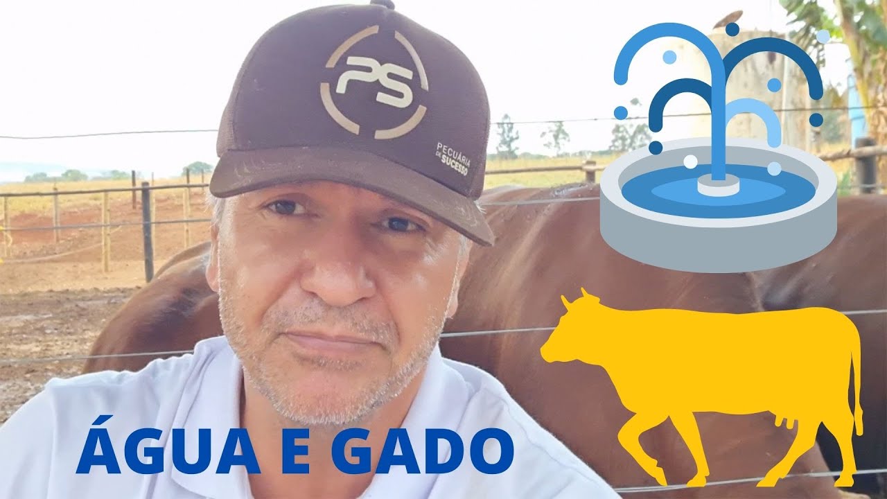 A ÁGUA PRECISA ESTAR PRÓXIMA DO GADO. - YouTube