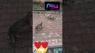 Evimin Önünde Fingirdeşmek Yasak