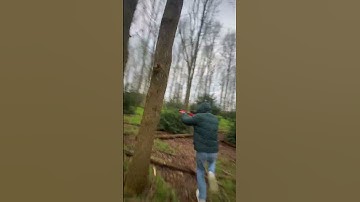 POV: Je gaat paintballen met je vrienden... en niemand raakt elkaar 🎯🔥😂