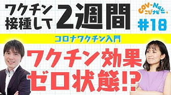 石井しおり Youtube