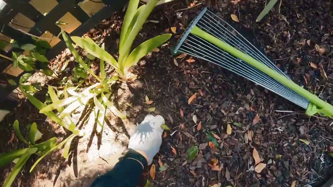 Garden Maintenance what 2 Hours Looks like 