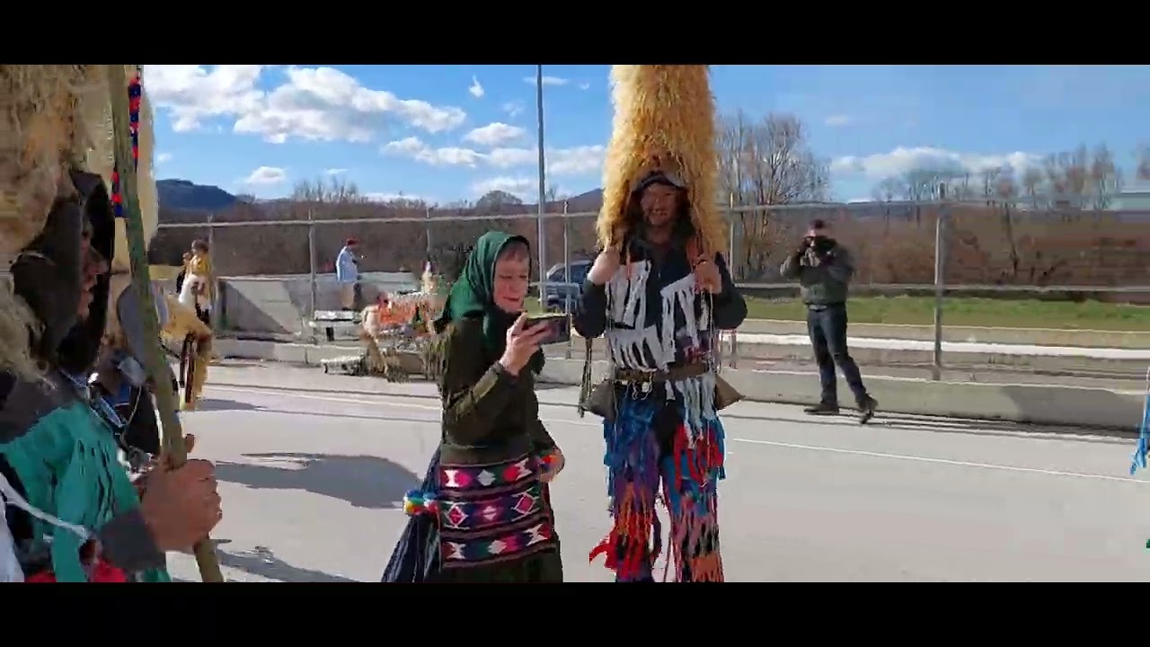 Vedrinske mačkare 2023.g