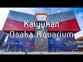 Osaka Aquarium Kaiyakan