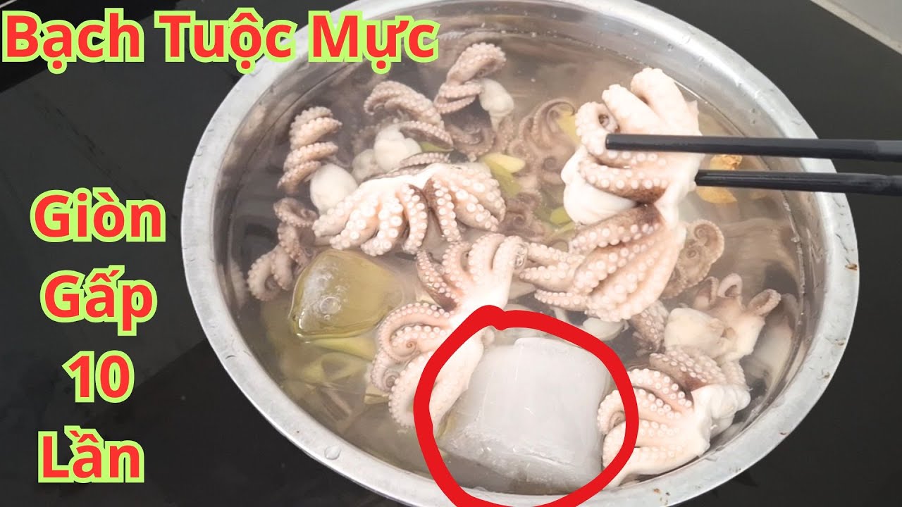Mực. Bạch Tuộc. Mua Về Đừng Vội Chế Biến Ngay. Hãy Thêm Bước Này Sẽ Giòn Hơn Gấp 10 Lần