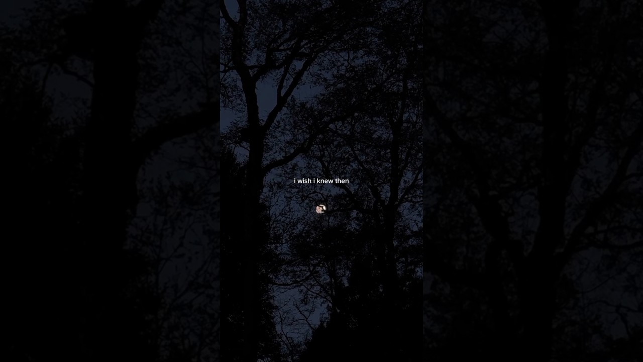 Katy Perry – Wide Awake (Lyric Video / Music Edit) 