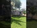 Shortvideos#awdeamet#kidanemihret#udet#kampala#