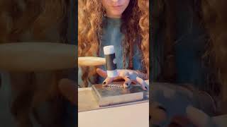 Silver Ring in the making #asmr #silversmithing #silversmith