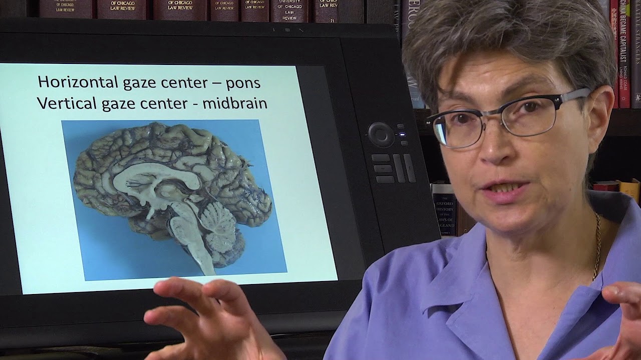 14.4 Gaze Control Centers