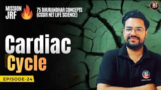 CSIR NET Life Science 2026 | Cardiac Cycle Fully Explained | Bansal Academy