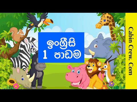 ඉංග්‍රීසි වචන මාලාව - 1 වන පාඩම | English Vocabulary Lesson 1/18