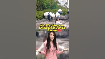 Where To See the Giant Pandas in Sichuan?