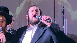 שמילי אונגאר - בטחו
