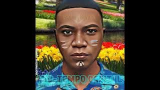 Download lagu Akanamali - Samthing Soweto (Eyeronik remix)