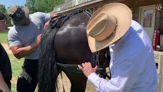 NCTA Caisson Unit New Tack & Adjustments