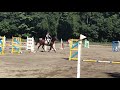 2019/8/5 東医体_ジムカーナ予選 石井&ファルーカ